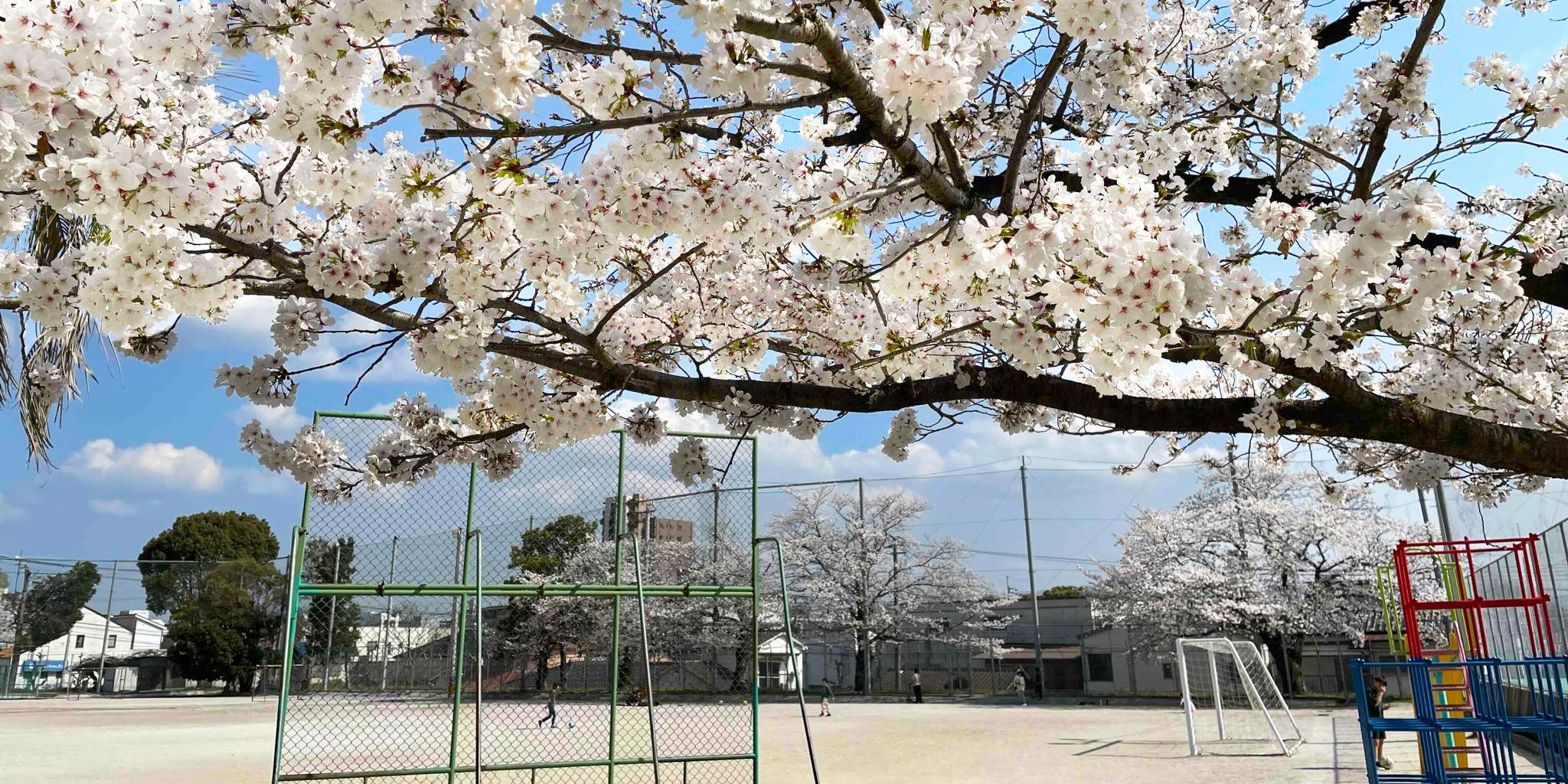 学校の風景1